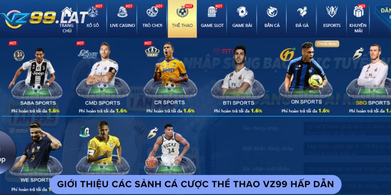 Giới thiệu các sảnh cá cược thể thao vz99 hấp dẫn